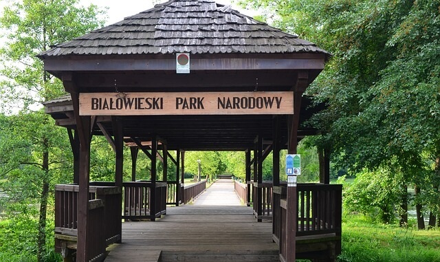 Wejście do Białowieskiego Parku Narodowego