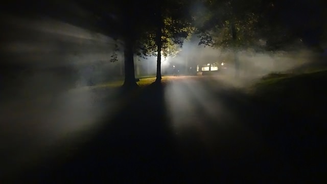 Ciemny las z mgłą i odległymi światłami