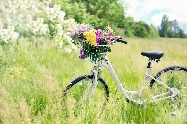 Rowerz koszem pełnym kwiatów stoi na łące