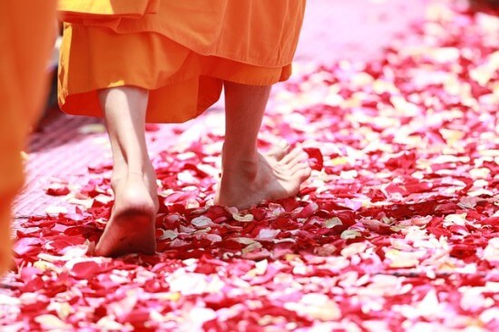 Mnich buddyjski idzie po płatkach kwiatów