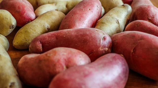Słodkie ziemniaki, bataty