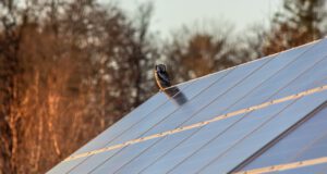 Panele solarne na dachu